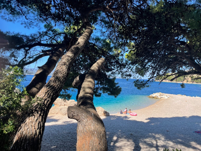 BEACH, Luxauthentic villa SALT/STONE with pool in Dalmatia - Croatia Mimice
